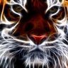 Jacky 8844's profile picture