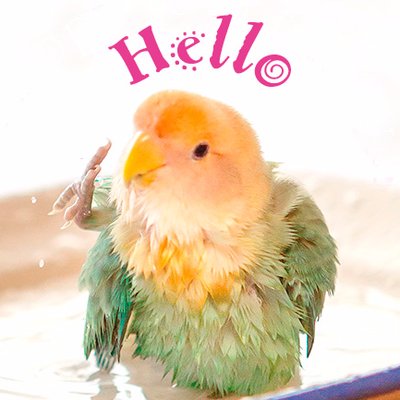 tokyoShiori's profile picture