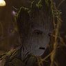 Profilbild von Groot