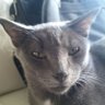 Antimo profil fotoğrafı
