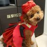 Profilbild von あけみん