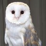 Profilbild von BlancheNeigeEsq
