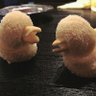 TSUBASA. 的头像