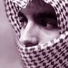 فالكون 的头像