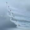 Tina F15 Fitch's profile picture