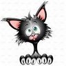 Texankitcat 的头像