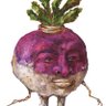 Donald J Turnip 👊🇺🇸💩 的头像