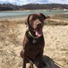 Bonez profil fotoğrafı