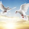 Фото профиля Katy E. Bird