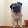 莉央's profile picture