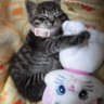 たくと 的头像