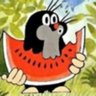 halfasec's profile picture