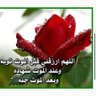 لماذا تطيل التفكير والله ولي التدبير's profile picture