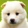 Blake's profile picture