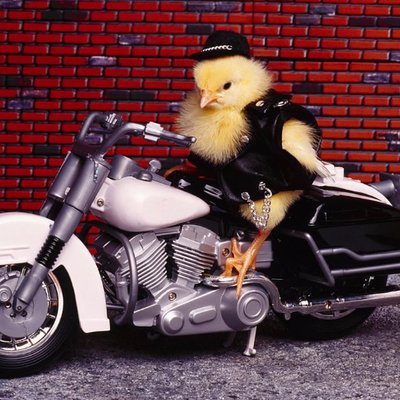 BourjouBourjou's profile picture