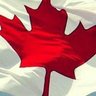 Dave S. 🇨🇦 的头像