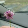 Фото профиля 柯