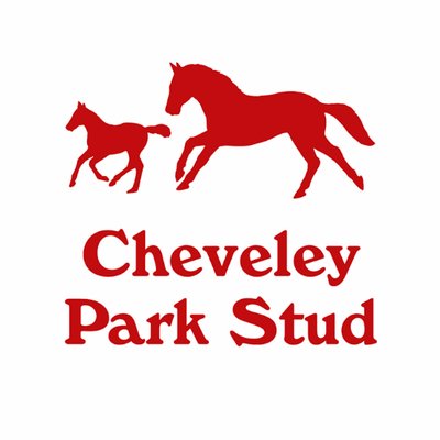 CPStudOfficial's profile picture