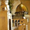 عمر باناجة's profile picture