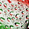 faisal alrashidi profil fotoğrafı