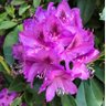 Фото профиля Frances Jones