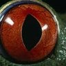 Loperauich profil fotoğrafı