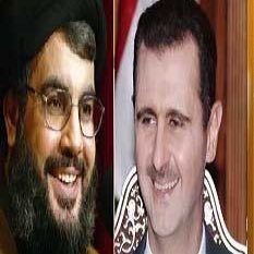 قمر نصرالله's profile picture