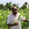 Vitalis Kimutai profil fotoğrafı