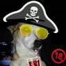 Frank's profile picture