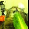 alexnar profil fotoğrafı