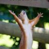 Profilbild von Mafastofos