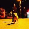 Hasan Gümüş profil fotoğrafı