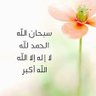 لين العنزي 的头像