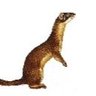 Dreamweasel's profile picture