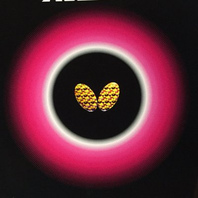 y51oPpadNDKqc8X's profile picture