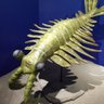 Фото профиля アノマロカリス