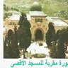 Фото профиля محمد