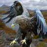 رحال profil fotoğrafı