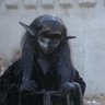 scath01's profile picture