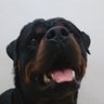 DALBEN's profile picture