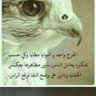أُسد الغابة 的头像