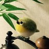 ちまき🐧's profile picture