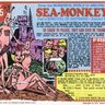 Sea Monkey profil fotoğrafı