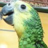 monster_wu profil fotoğrafı