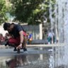 فواز ابراهيم profil fotoğrafı