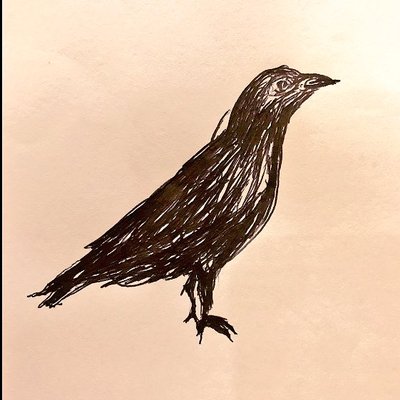 oykot66's profile picture