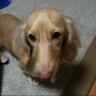 raika. profil fotoğrafı