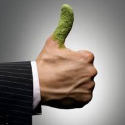 Gr33nThumb303's profile picture