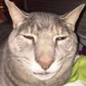 Kong's profile picture