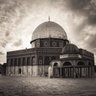 Фото профиля Firas Ross Ikhleil